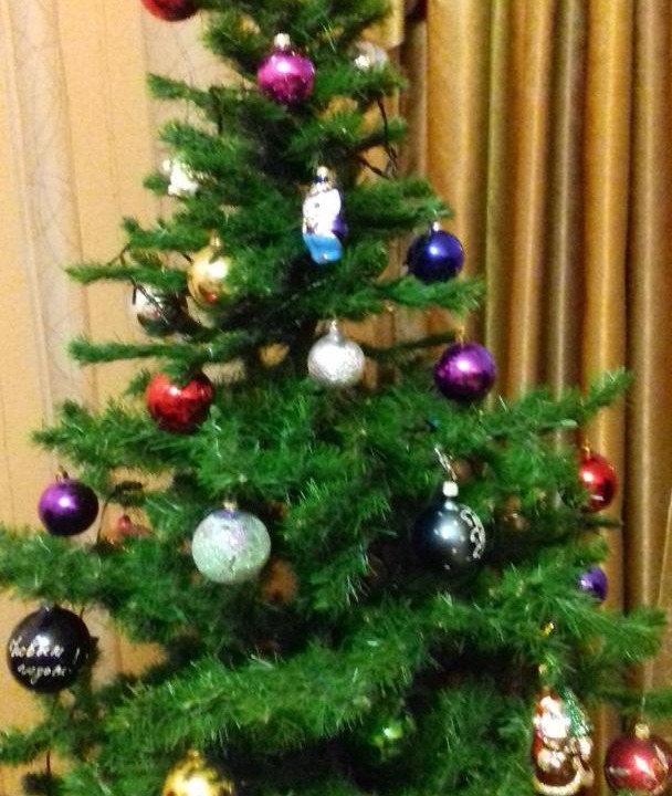 Photo of Others in Suzdal