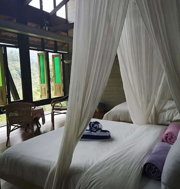 Photo of Bedroom in Pantai