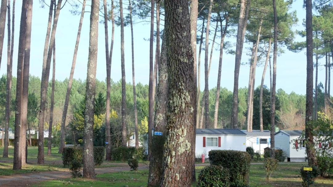 Photo of Buildings in Saint-Julien-en-Born