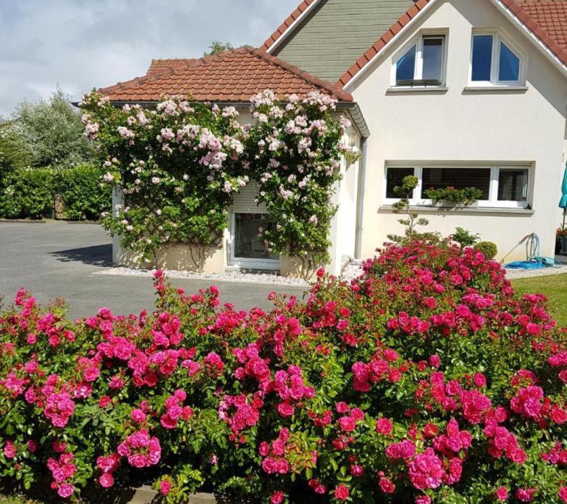 Photo of Others in Berck-sur-Mer