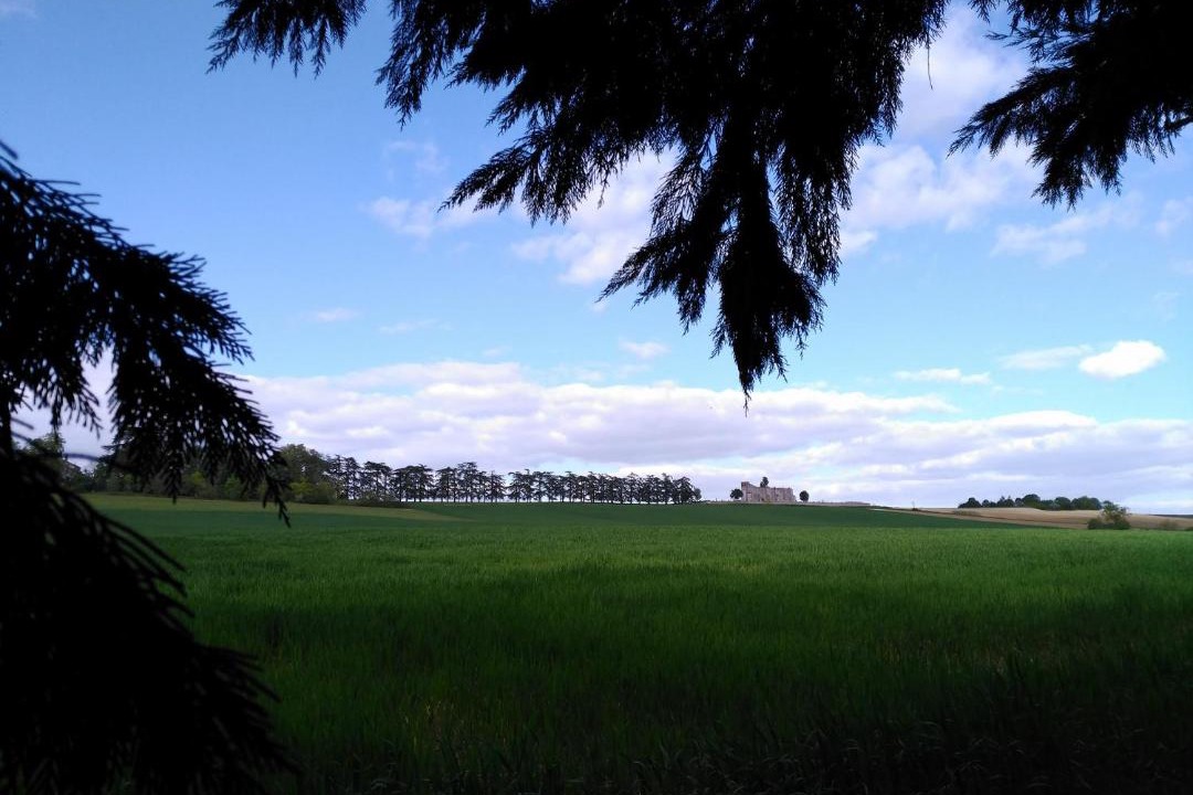 Photo of Outdoor in Laplume