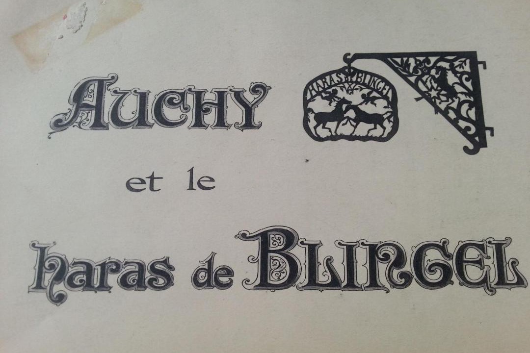 Photo of Others in Blingel