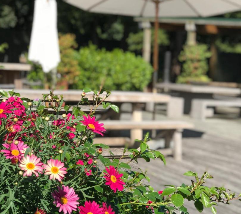 Photo of Others in Warkworth