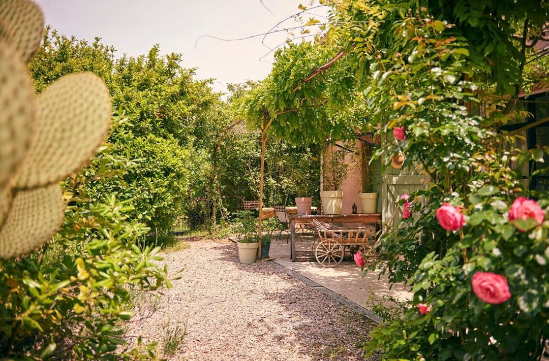 Photo of Others in Salernes