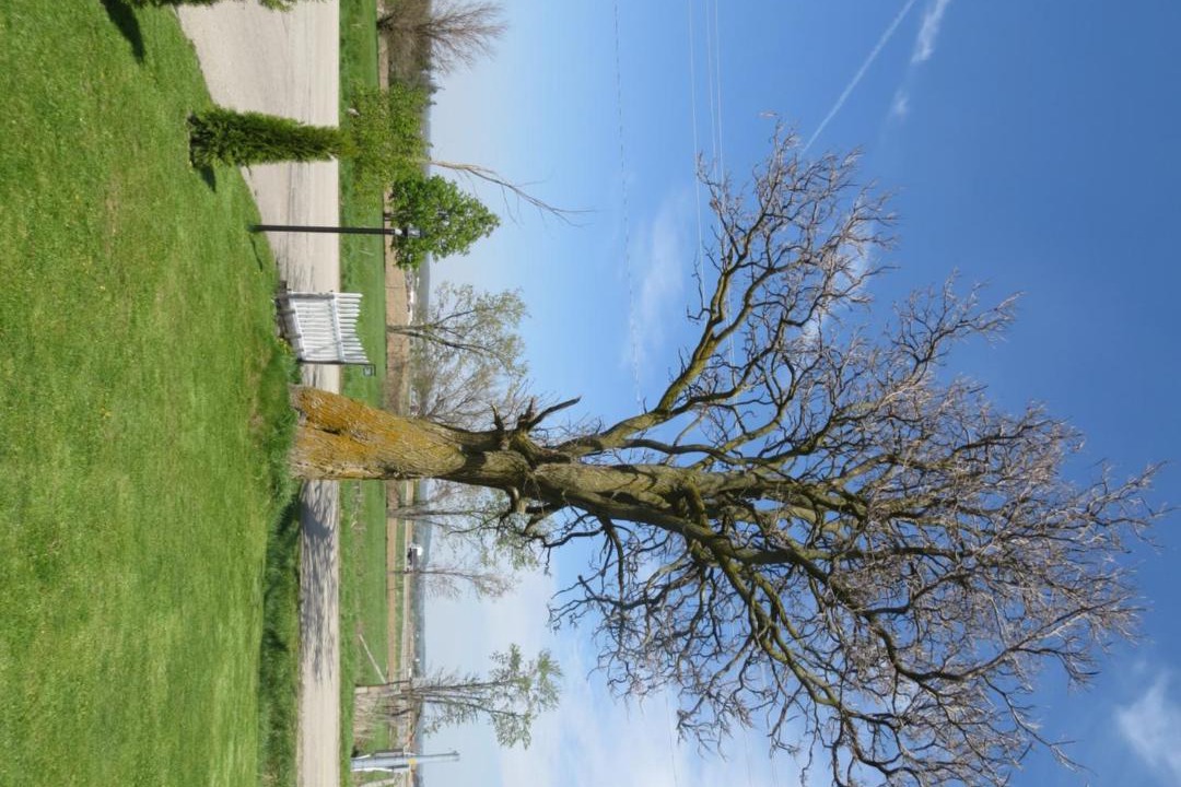 Photo of Outdoor in New Hamburg