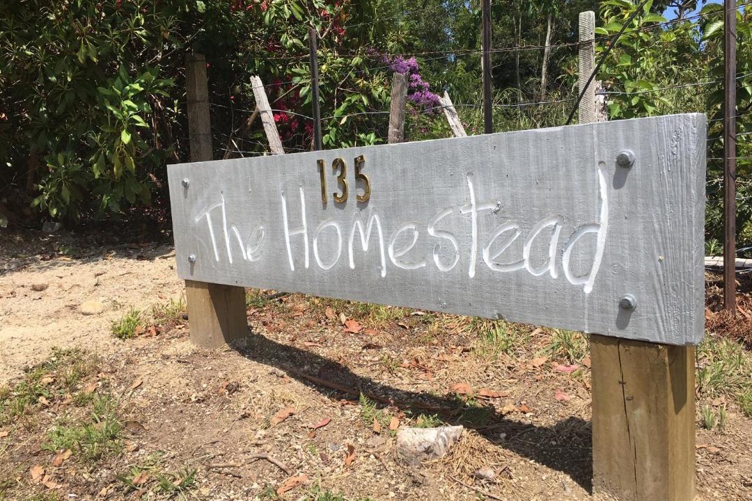 Photo of Others in Acacia Bay