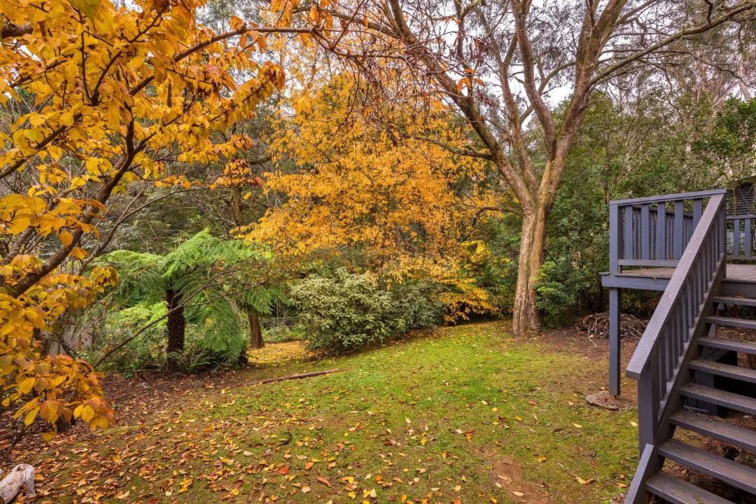 Photo of Others in Katoomba