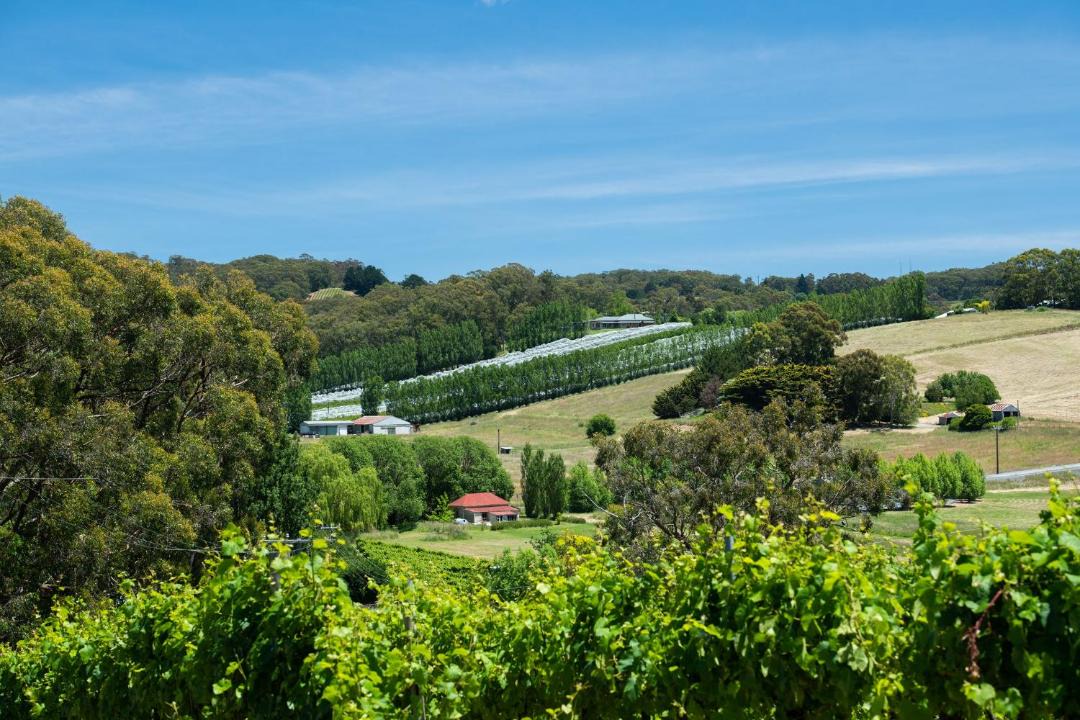 Photo of Others in Piccadilly