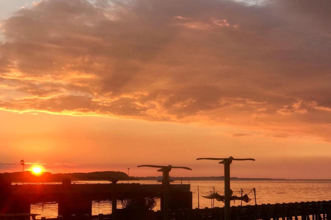 Photo of Others in Hvalpsund