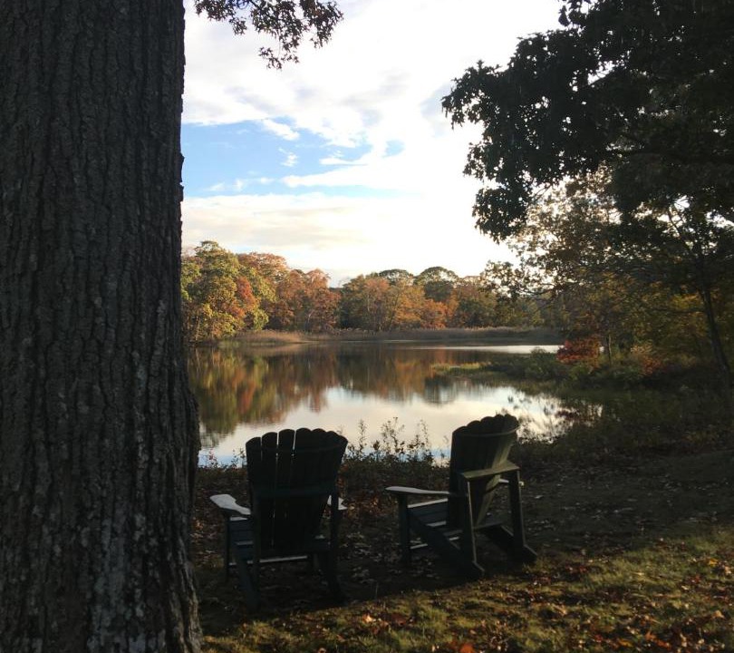 Photo of Others in The Heights