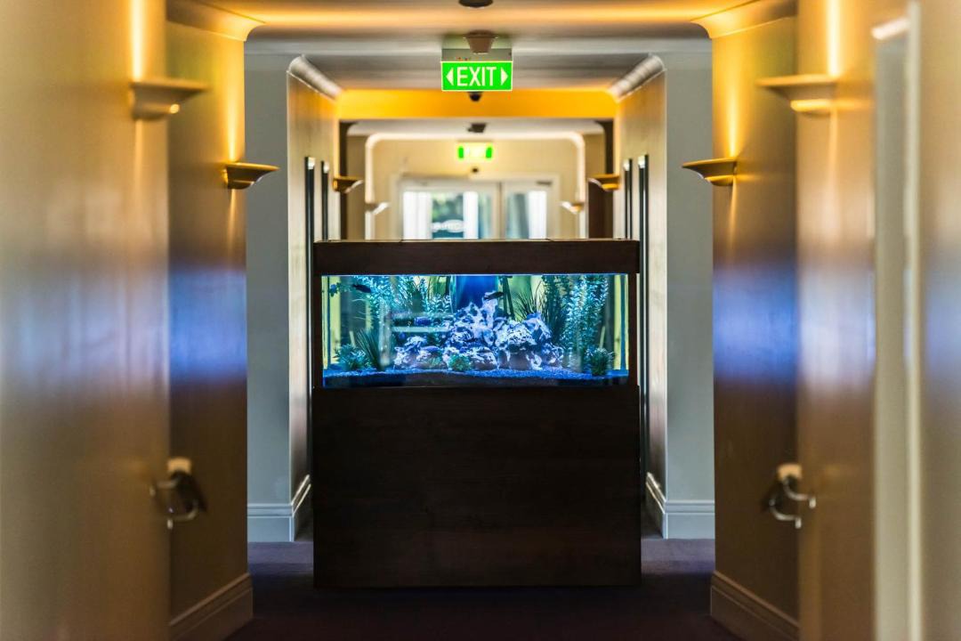 Photo of Others in Traralgon