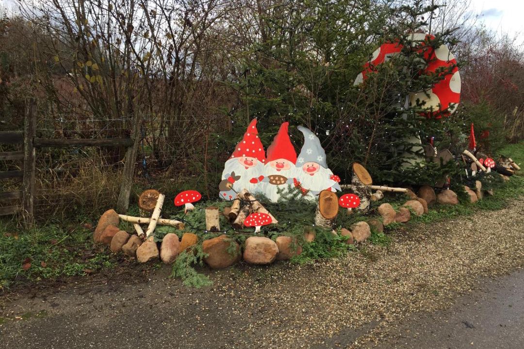 Photo of Others in Gertwiller