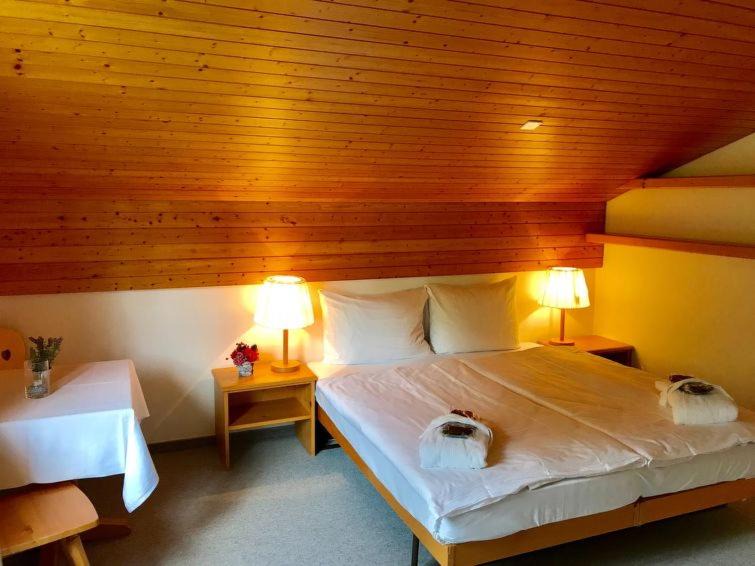 Photo of Bedroom in Tavanasa