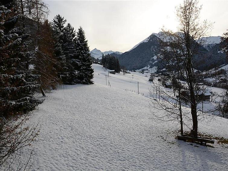 Photo of Others in Zweisimmen Nr Gstaad