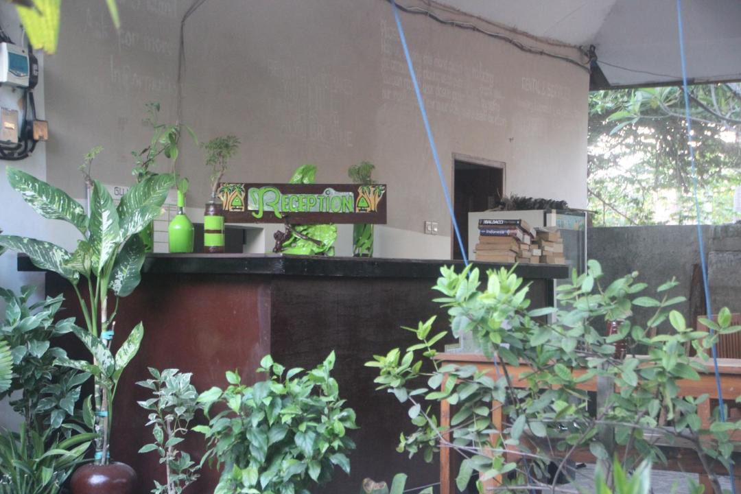 Photo of Others in Gili Air