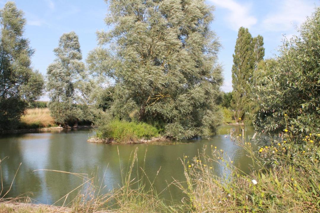 Photo of Others in Deneze-sous-le-Lude
