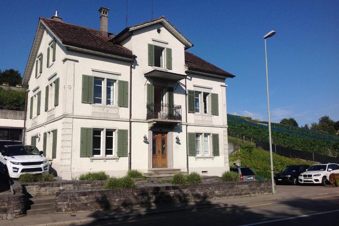Photo of Buildings in Meilen District