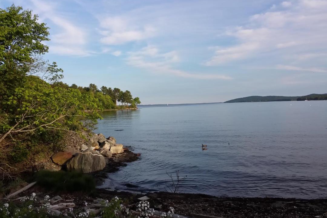 Photo of Others in Belfast