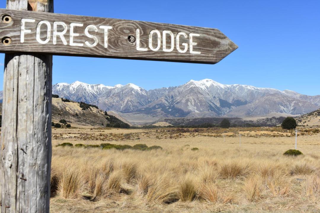 Photo of Others in Castle Hill