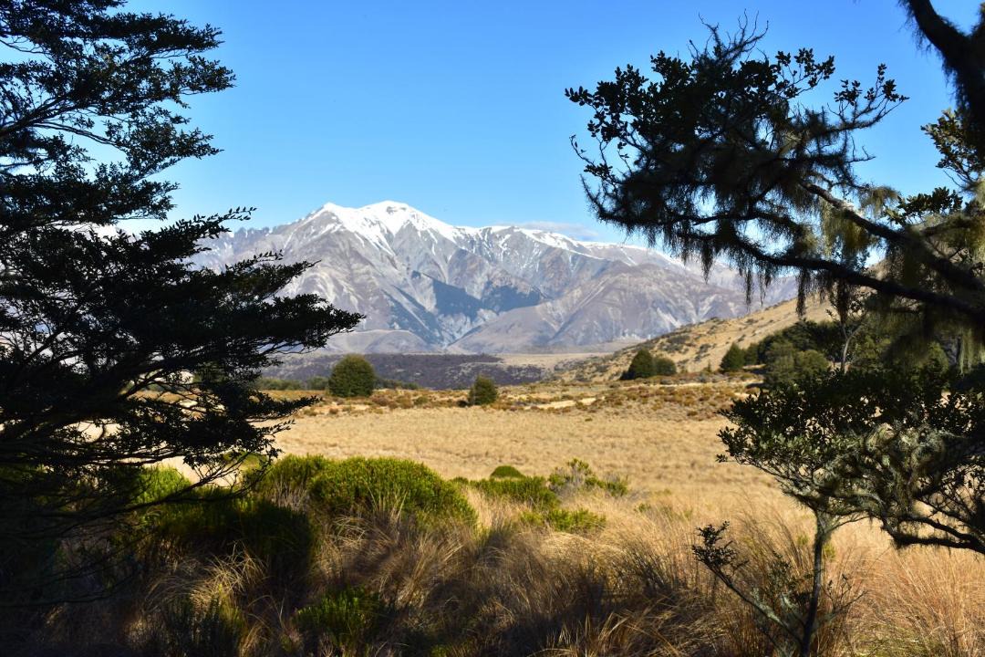 Photo of Others in Castle Hill