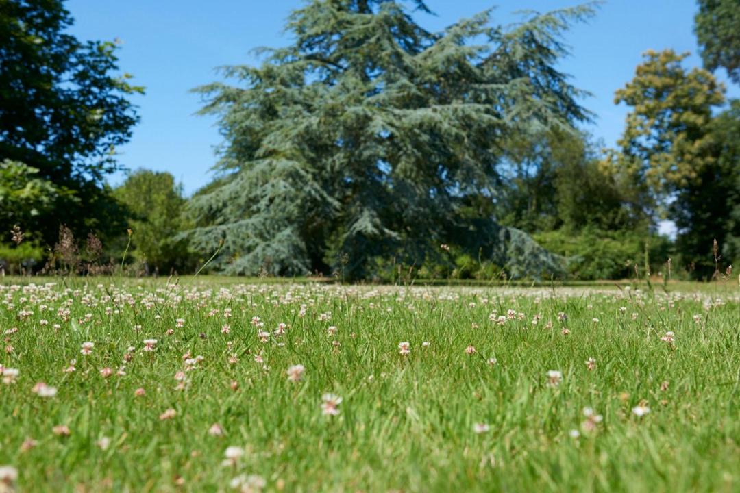 Photo of Others in Cite