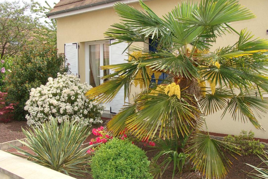 Photo of Others in Ruaudin