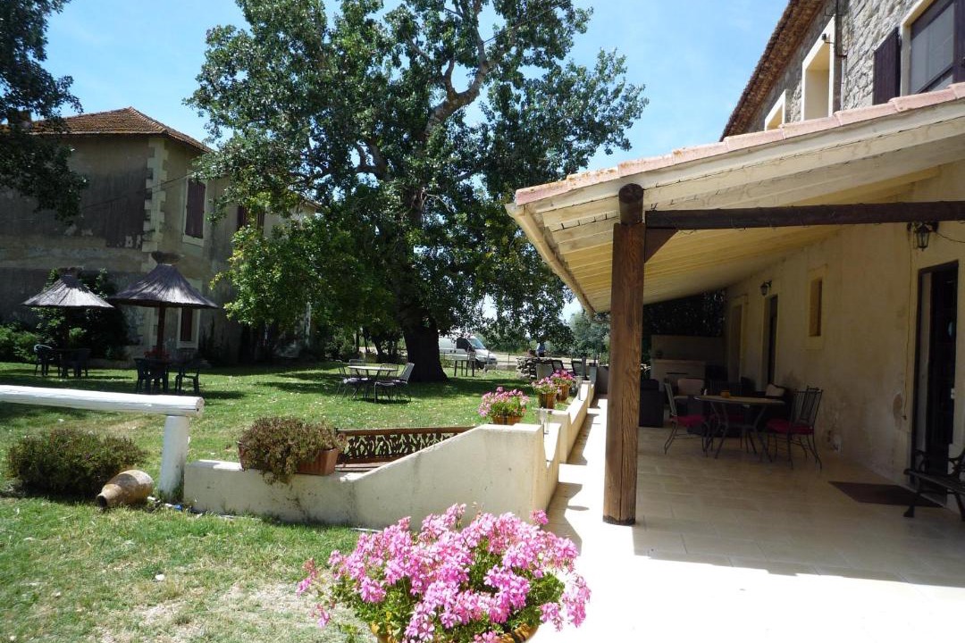 Photo of Others in Saintes-Maries-de-la-Mer