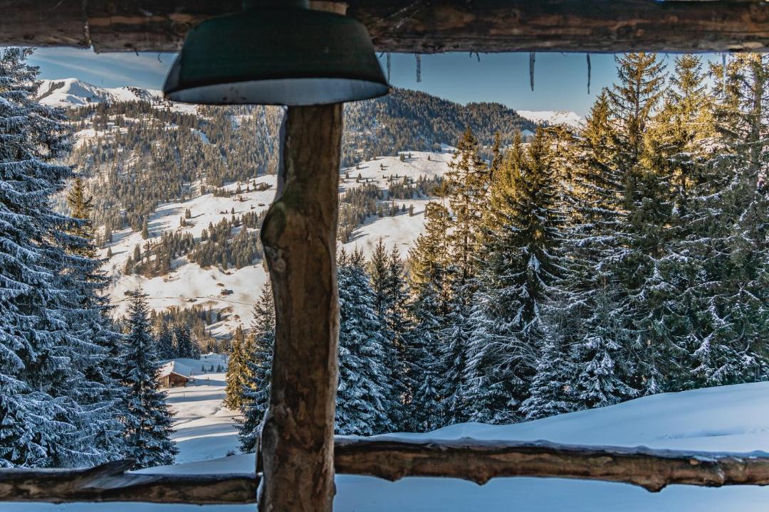 Photo of Others in Oeschseite
