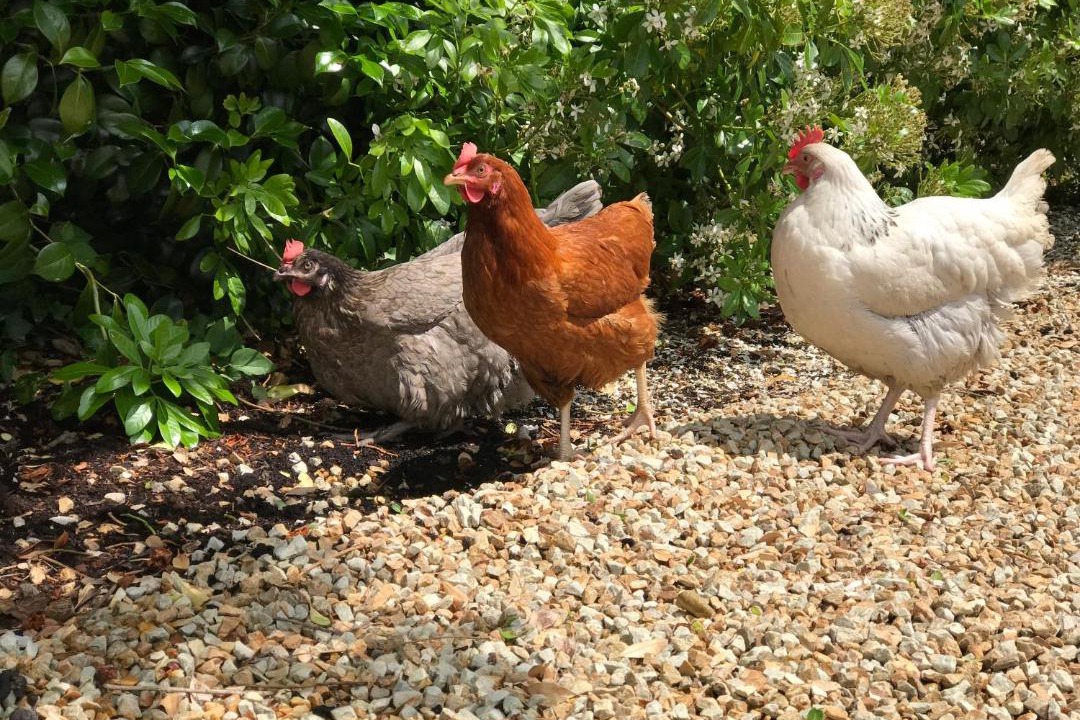 Photo of Others in Cite