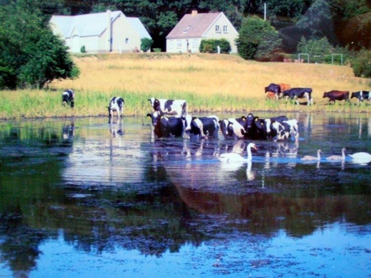 Photo of Others in Bredsten
