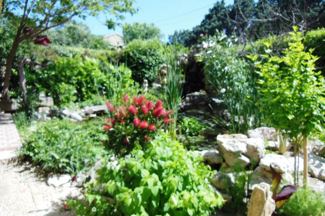 Photo of Others in Ledenon