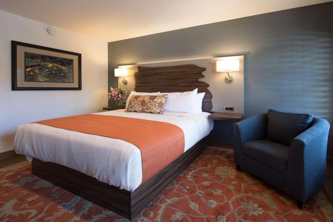 Photo of Others in Downtown