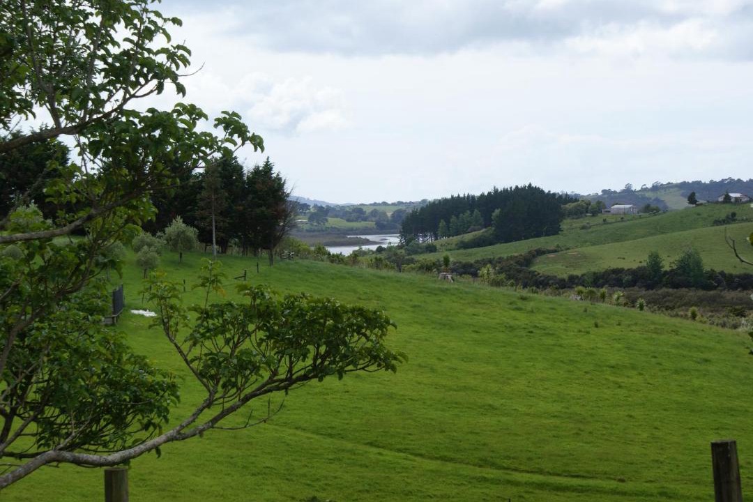 Photo of Outdoor in Warkworth