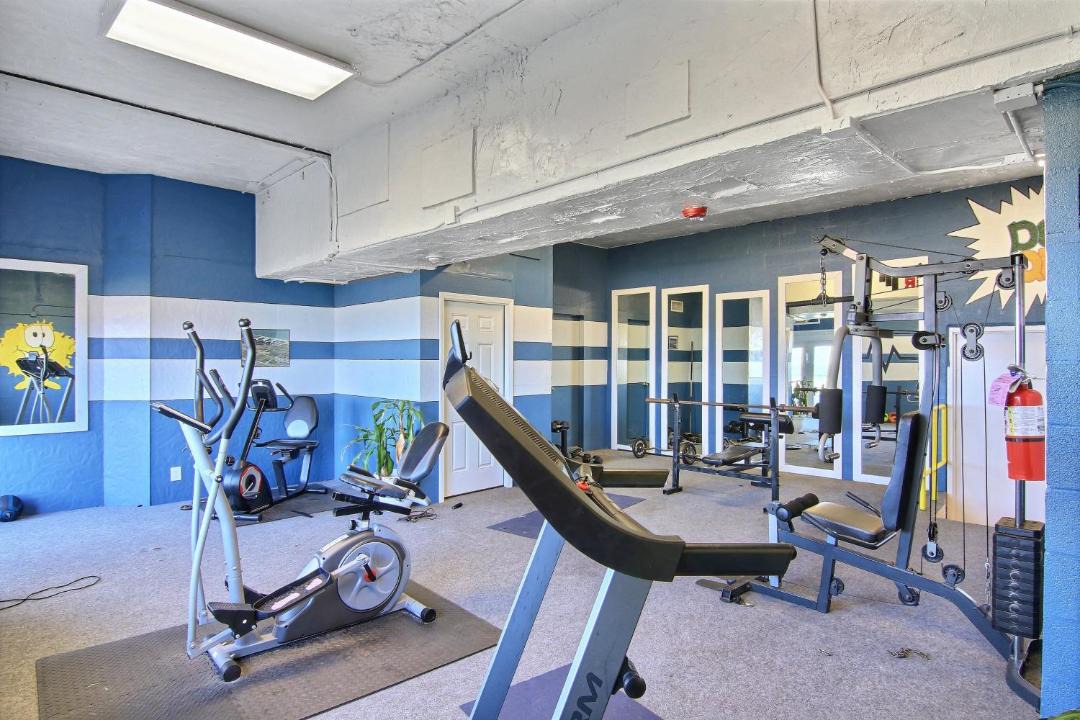 Photo of Others in North Beach