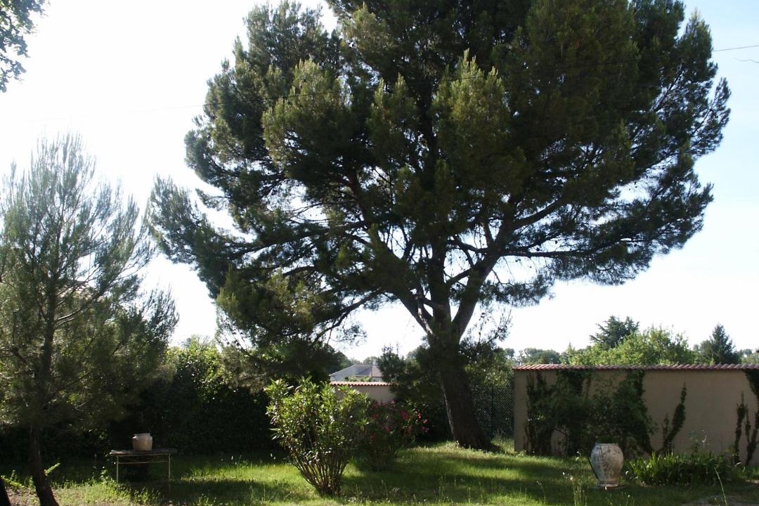 Photo of Others in Valreas
