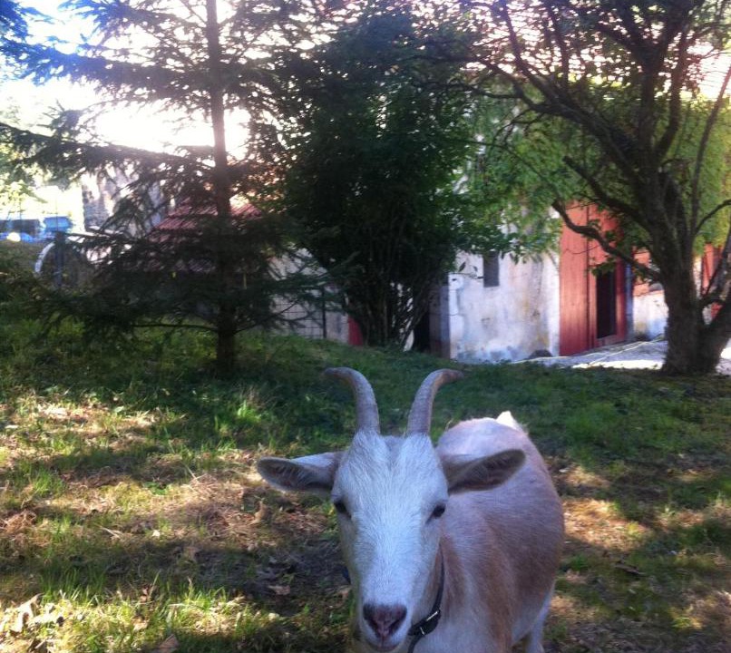 Photo of Outdoor in Chamoux