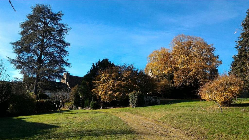 Photo of Others in Saint-Savin