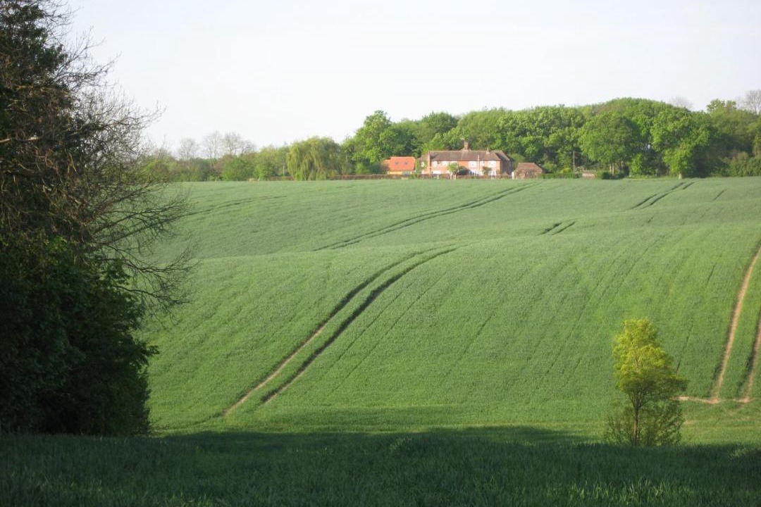 Photo of Others in Much Hadham