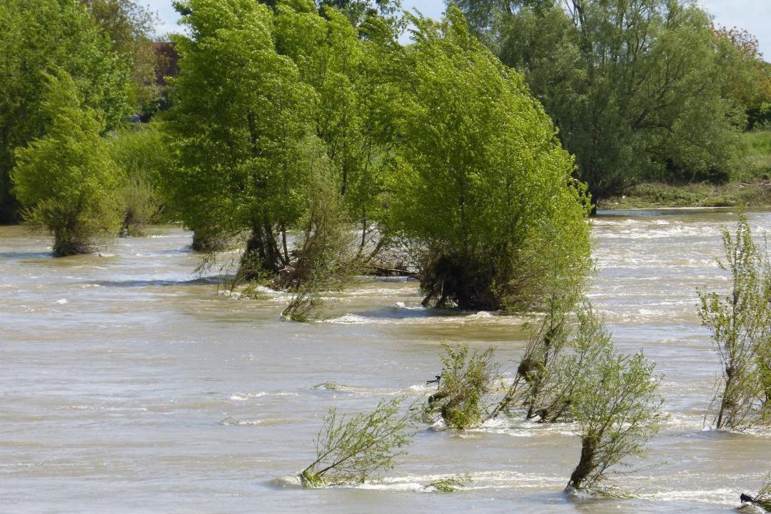 Photo of Others in Meung-sur-Loire