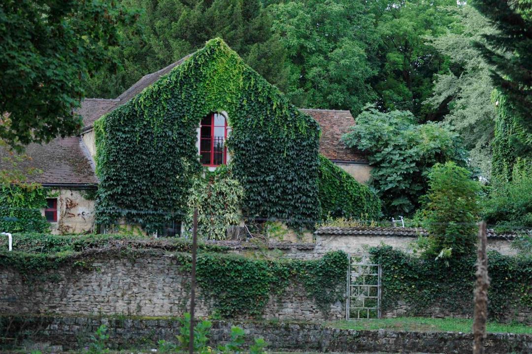 Photo of Others in Flagey-Echezeaux