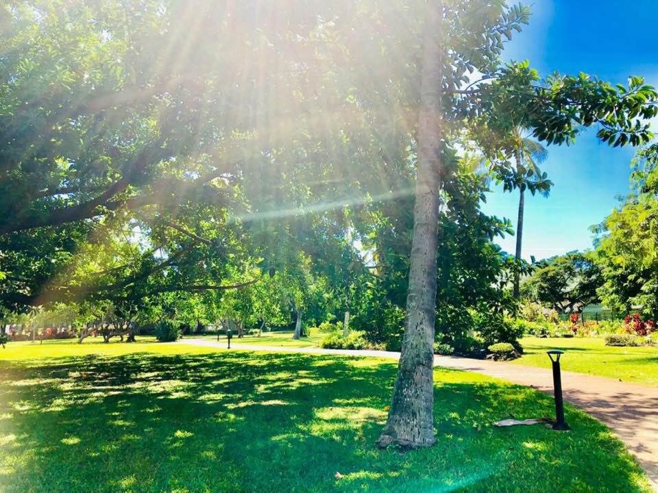 Photo of Others in McCully - Moiliili