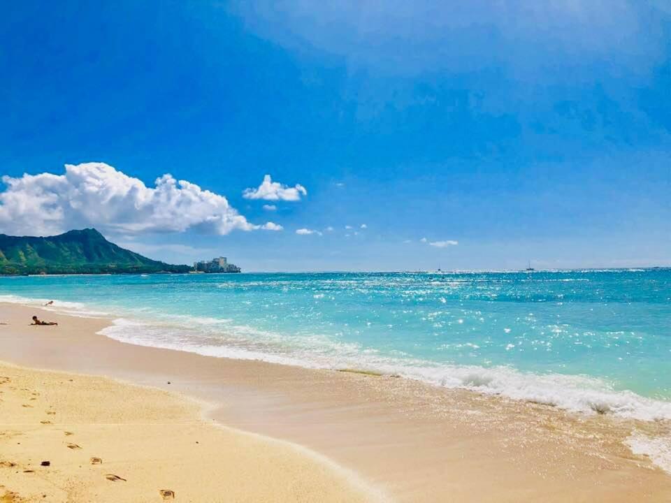 Photo of Others in McCully - Moiliili