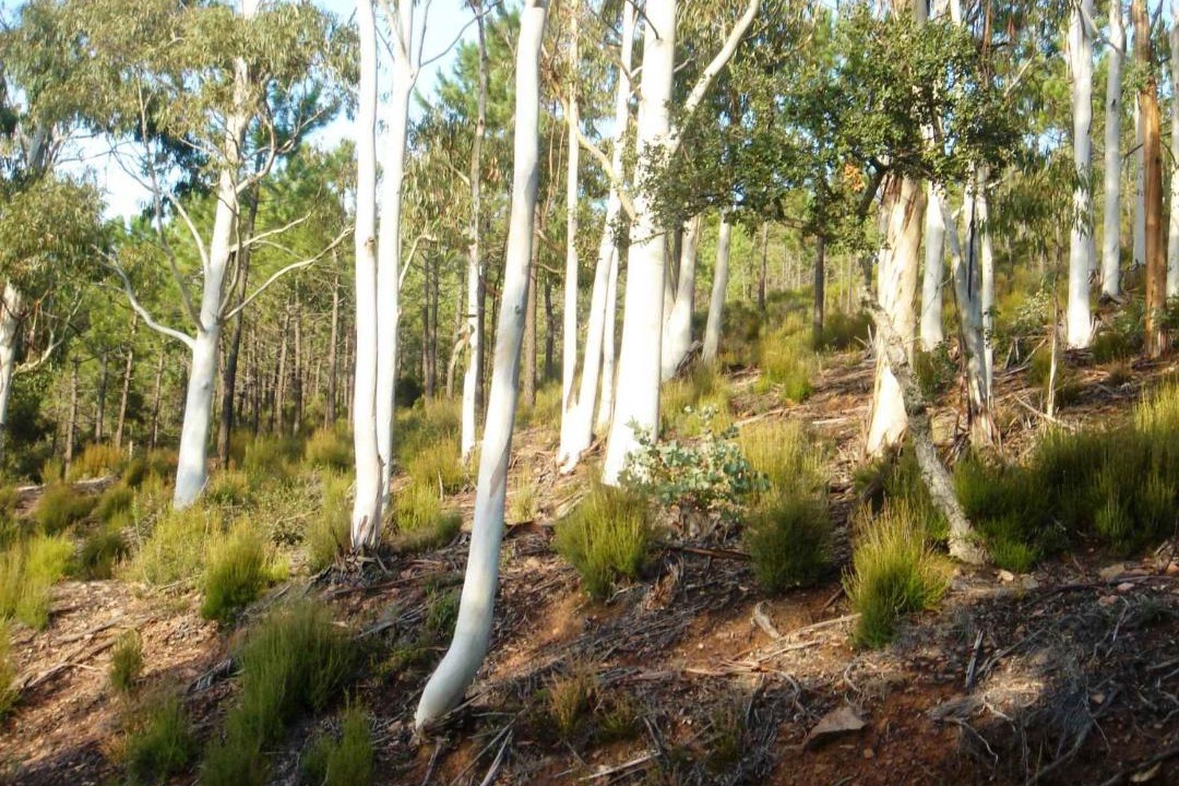 Photo of Others in Les Issambres