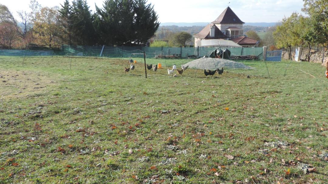 Photo of Others in Causse-et-Diege