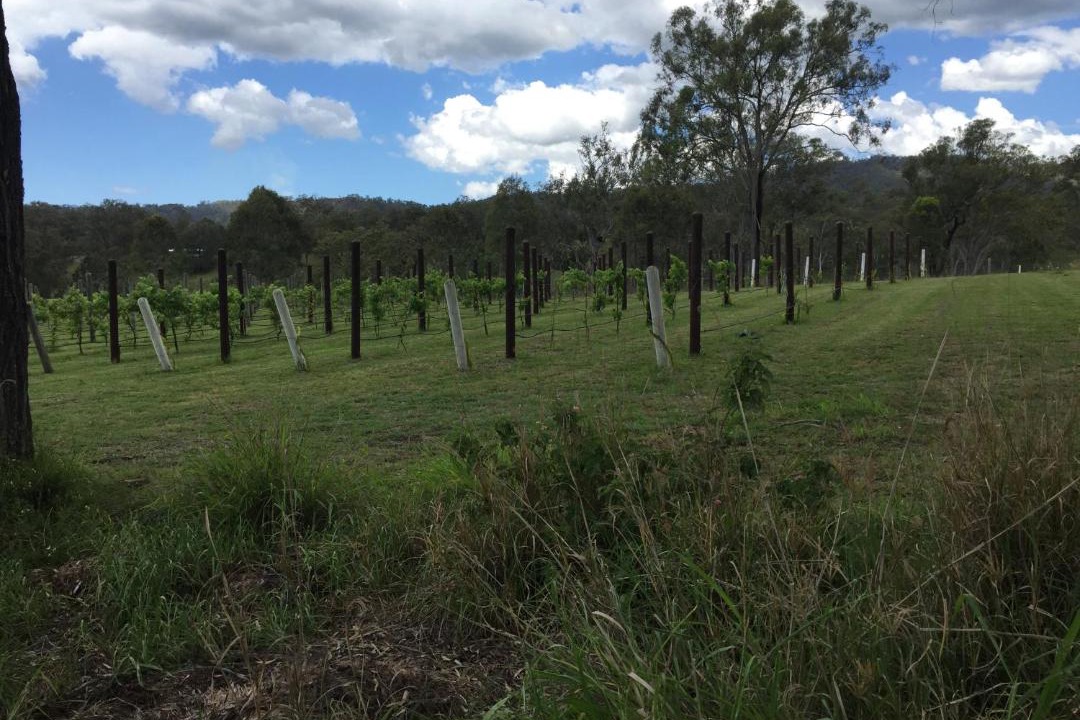 Photo of Others in Cainbable