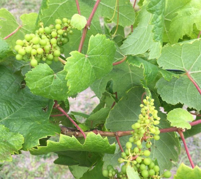 Photo of Outdoor in Cainbable