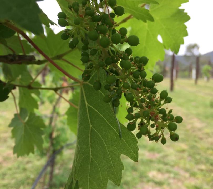 Photo of Outdoor in Cainbable