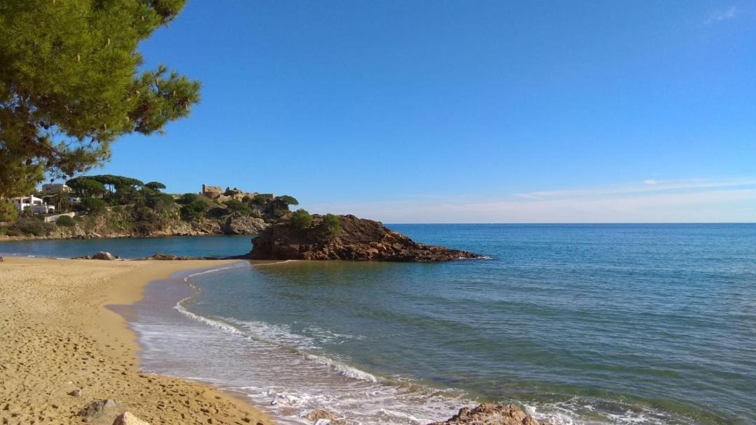 Photo of Others in Palamos