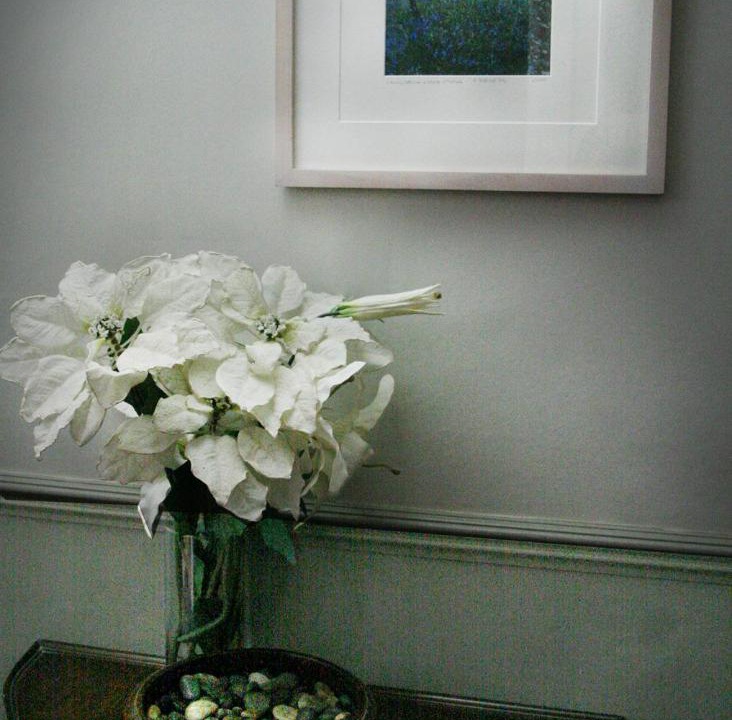 Photo of Others in Truro