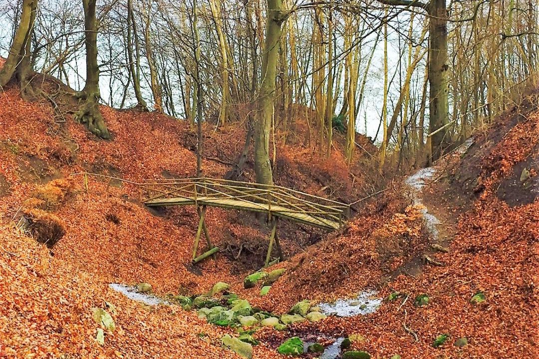 Photo of Others in Stege